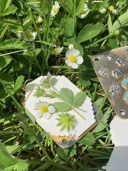 Olvoria | Mini Flower Press | Compact Botanical Keepsake Maker | Portable Craft Tool