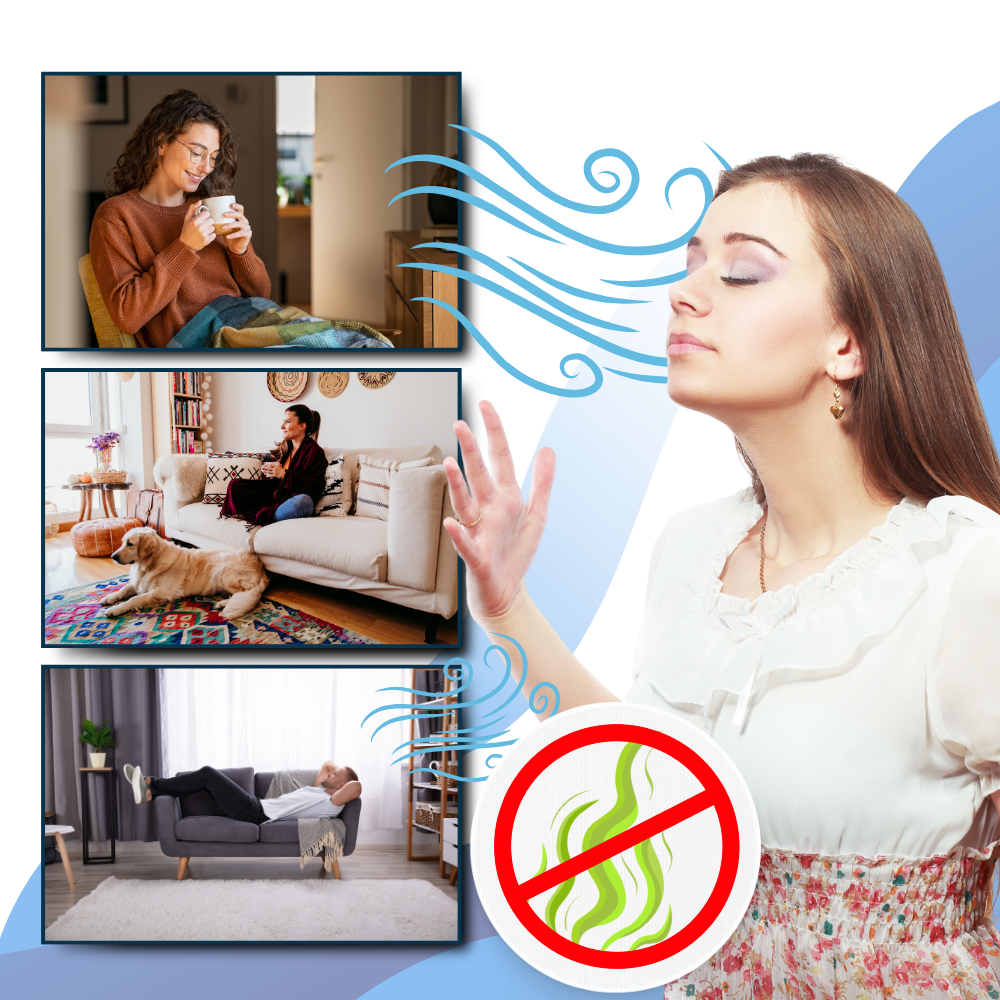 Olvoria | Multi-Surface UV Disinfectant Bulb – Strongest Bed Bug Killer for Home & Travel Use