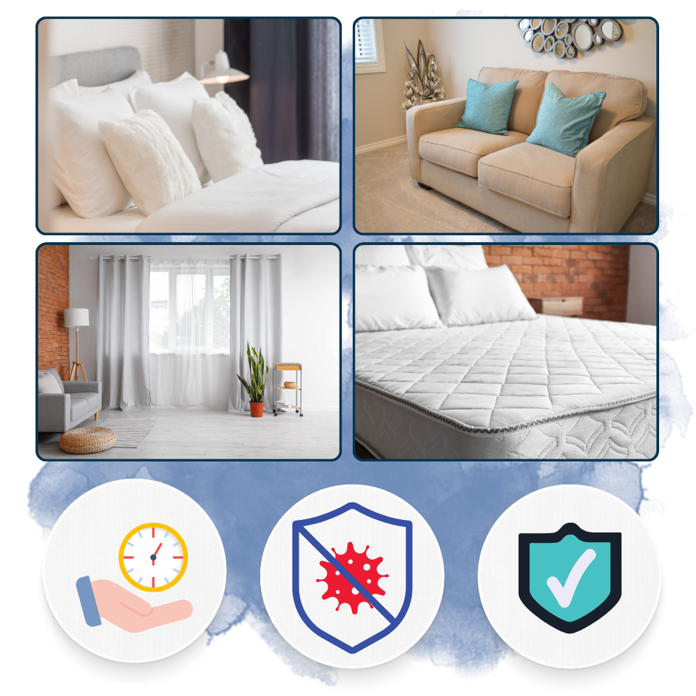 Olvoria | Multi-Surface UV Disinfectant Bulb – Strongest Bed Bug Killer for Home & Travel Use