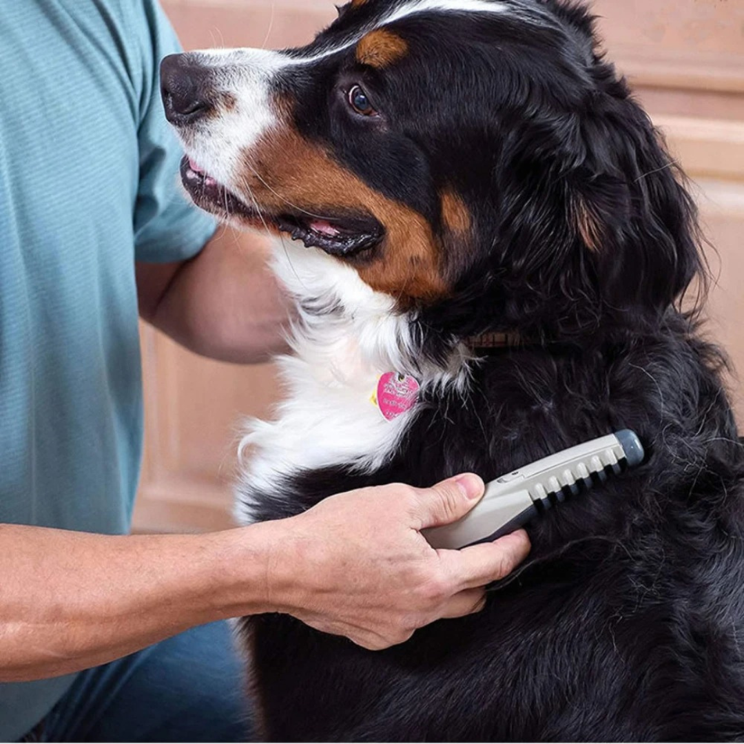 Olvoria | No more knots and tangles for your pet