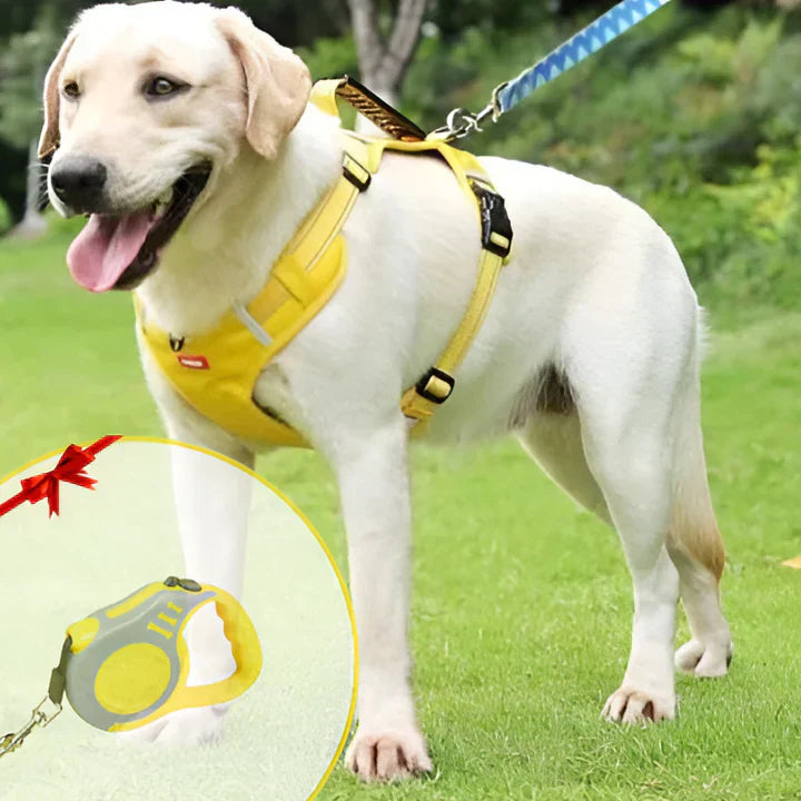 Olvoria | No-Pull Dog Harness with Padded Comfort and Reflective Safety
