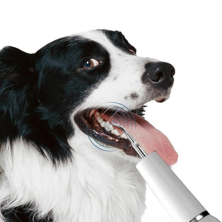 Olvoria | Pet Oral Cleaning Tool for Fresh Breath & Grooming Care