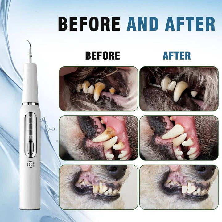Olvoria | Pet Oral Cleaning Tool for Fresh Breath & Grooming Care