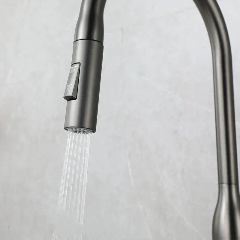 Olvoria | PureFlow - Kitchen Faucet with Pull-Down Hand Shower