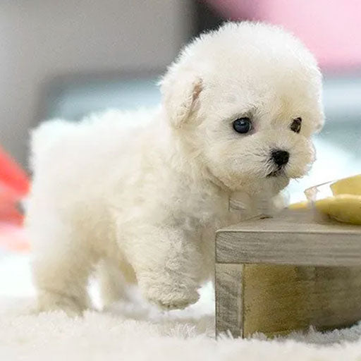 Olvoria | Realistic Puppy Interactive Plush AI Dog Robot