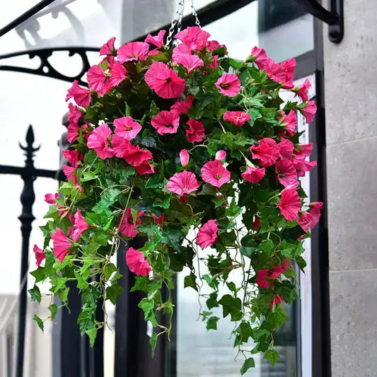 Olvoria | Realistic, UV-resistant artificial morning glory - Buy one, get one!