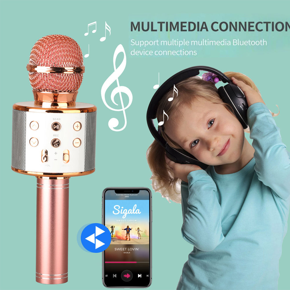 Olvoria | Rechargeable Wireless Bluetooth Karaoke Microphone
