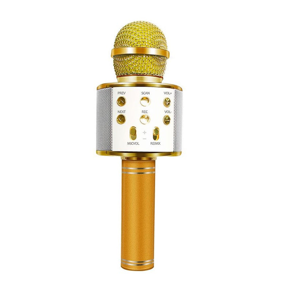 Olvoria | Rechargeable Wireless Bluetooth Karaoke Microphone