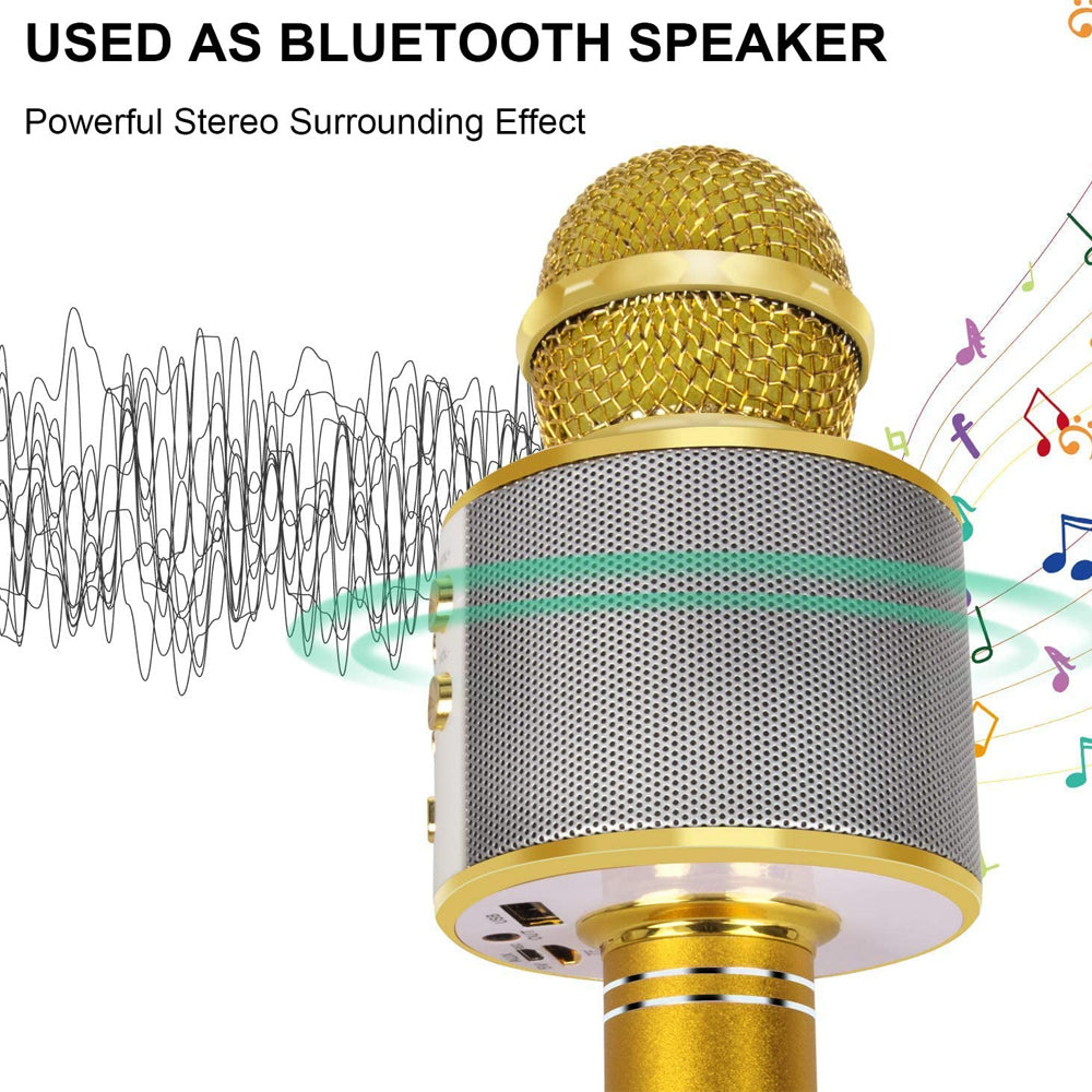 Olvoria | Rechargeable Wireless Bluetooth Karaoke Microphone