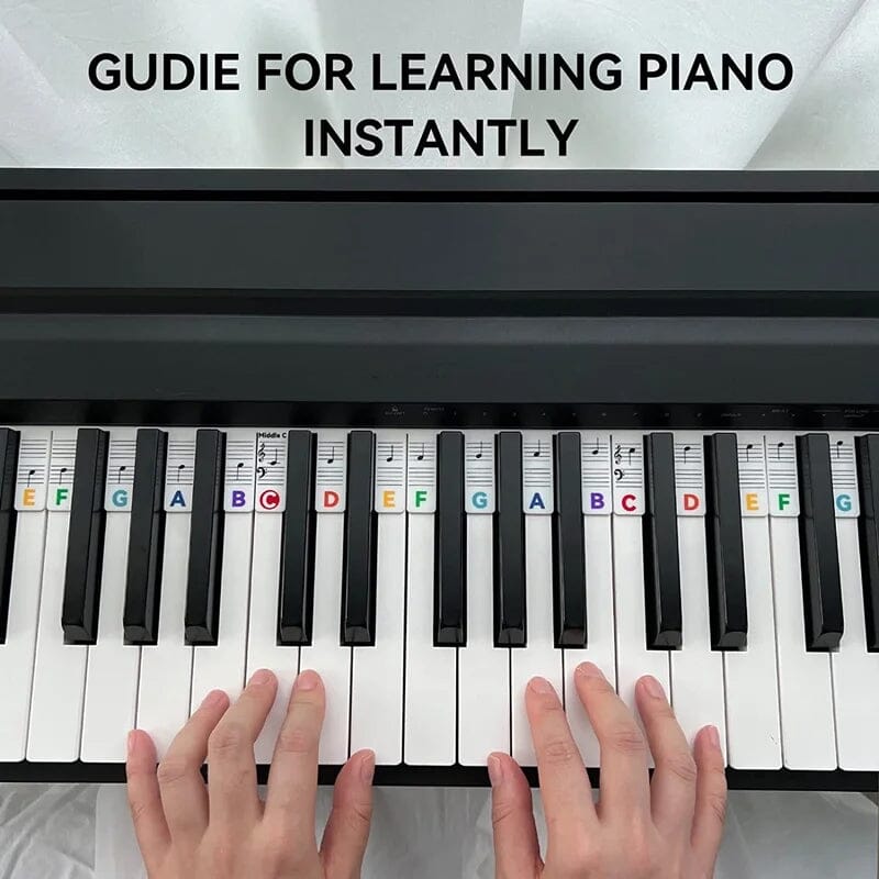 Olvoria | Removable Piano Keyboard Note Labels