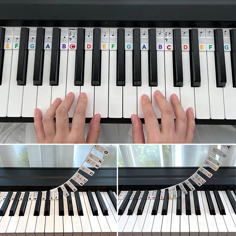 Olvoria | Removable Piano Keyboard Note Labels