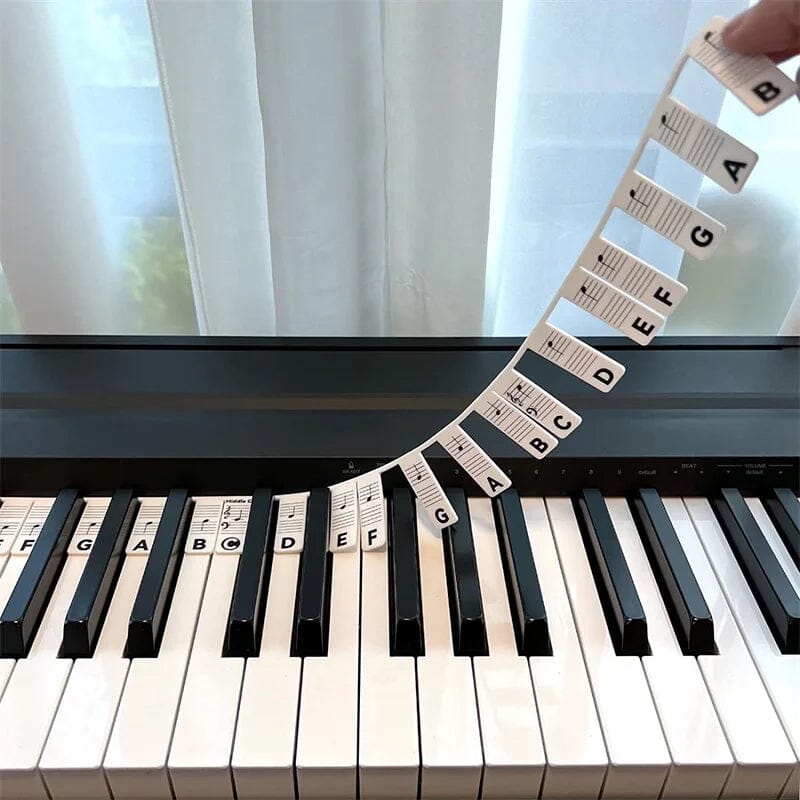 Olvoria | Removable Piano Keyboard Note Labels