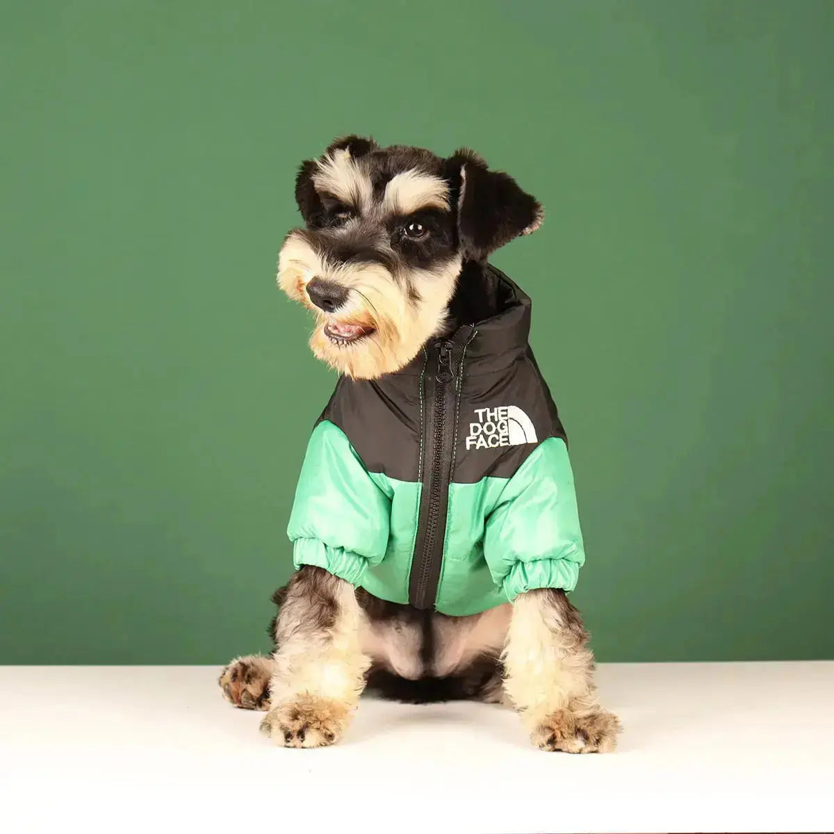 Olvoria | The Dog Face Jacket - Type A