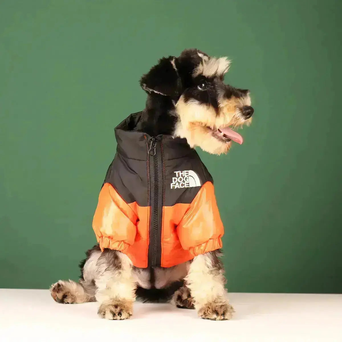 Olvoria | The Dog Face Jacket - Type A