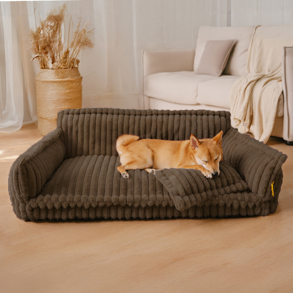 Orthopedic Dog Bed CaniSofa – Joint Support, Washable Cover, Comfortable Headrest