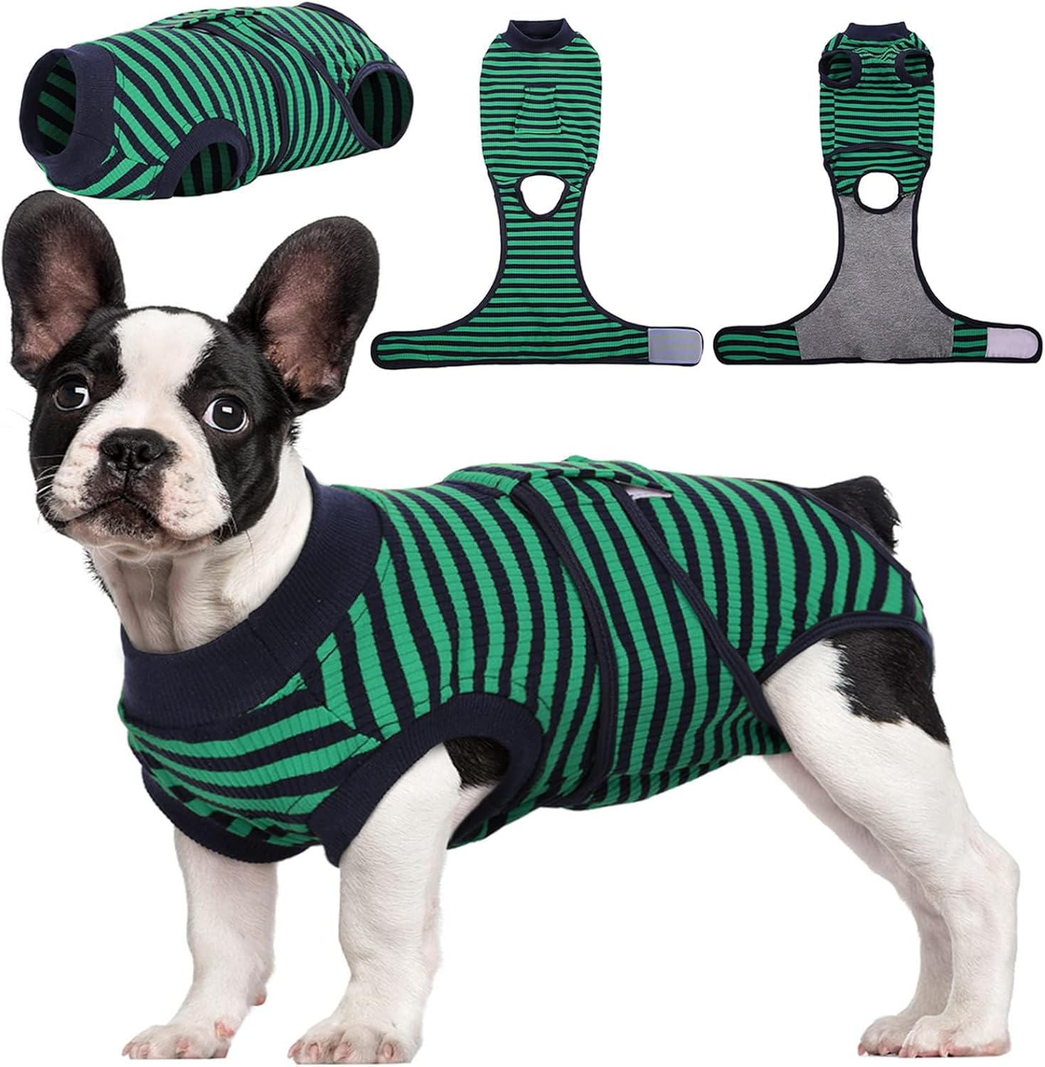 Quick Recovery Suit for Pets – Healing After Surgery