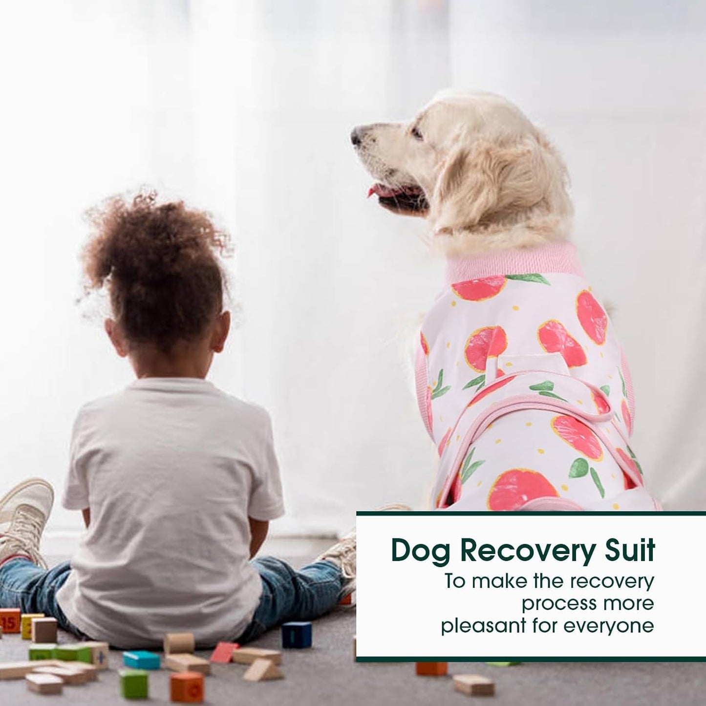 Quick Recovery Suit for Pets – Healing After Surgery