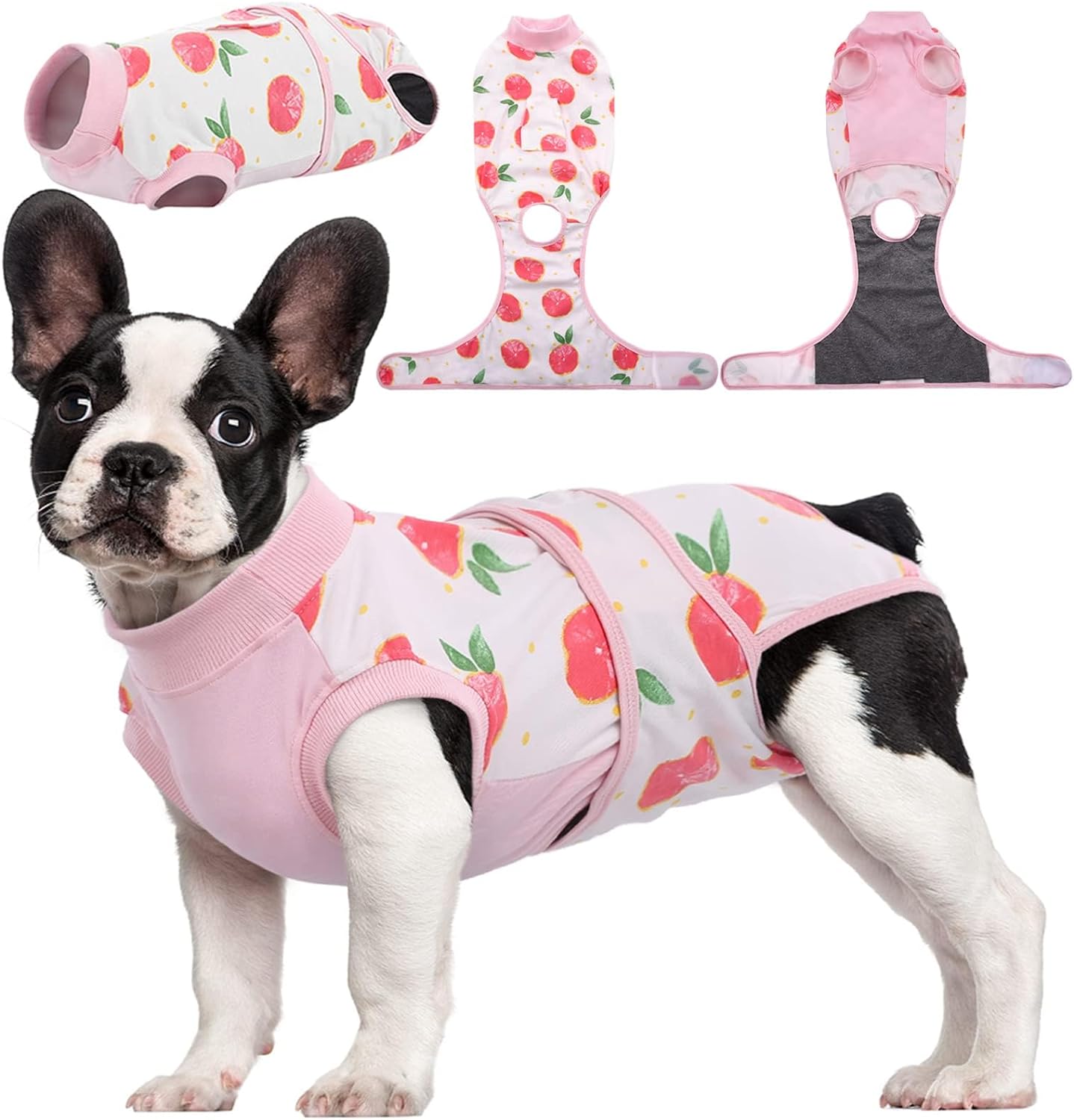 Quick Recovery Suit for Pets – Healing After Surgery