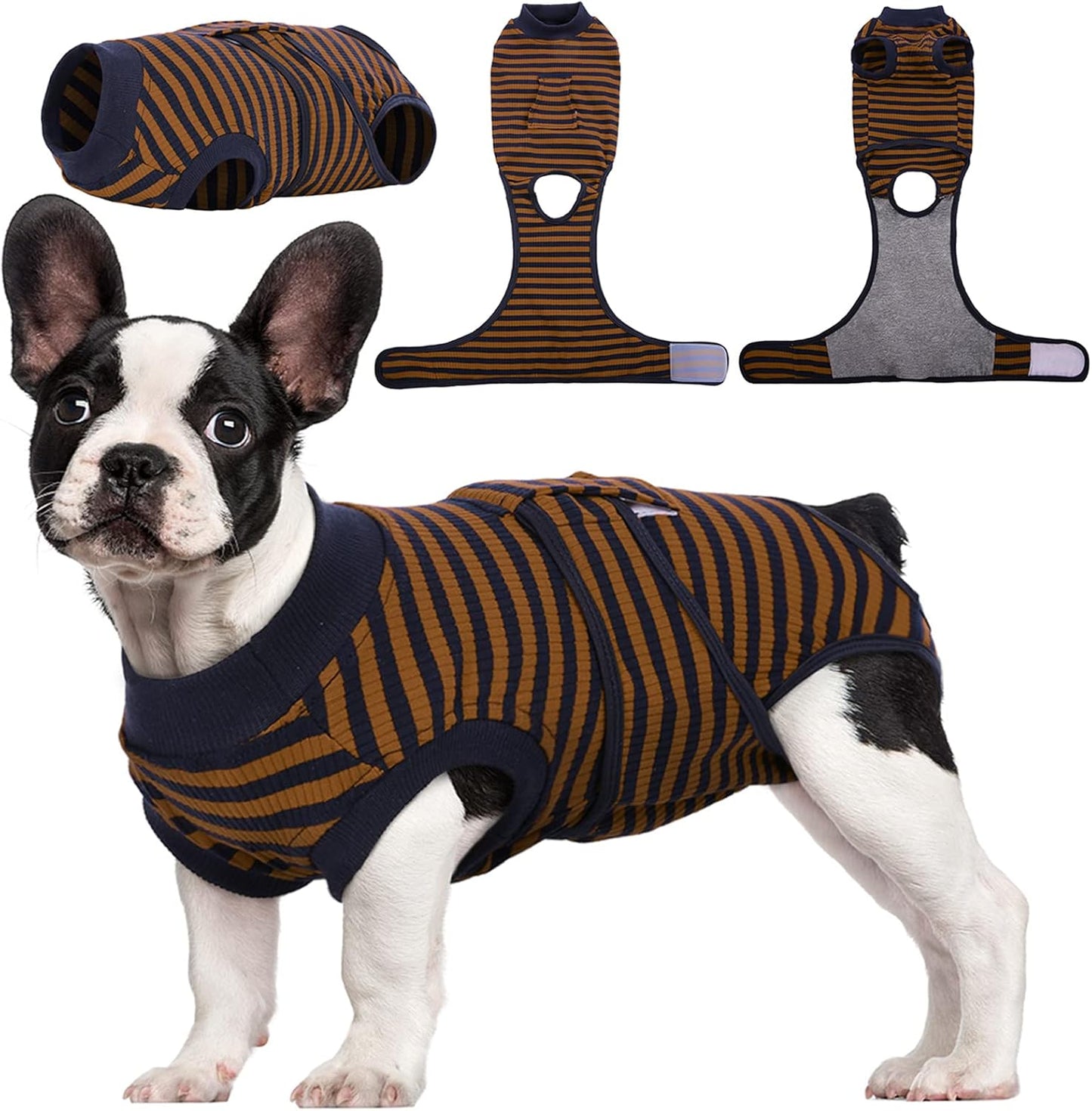 Quick Recovery Suit for Pets – Healing After Surgery