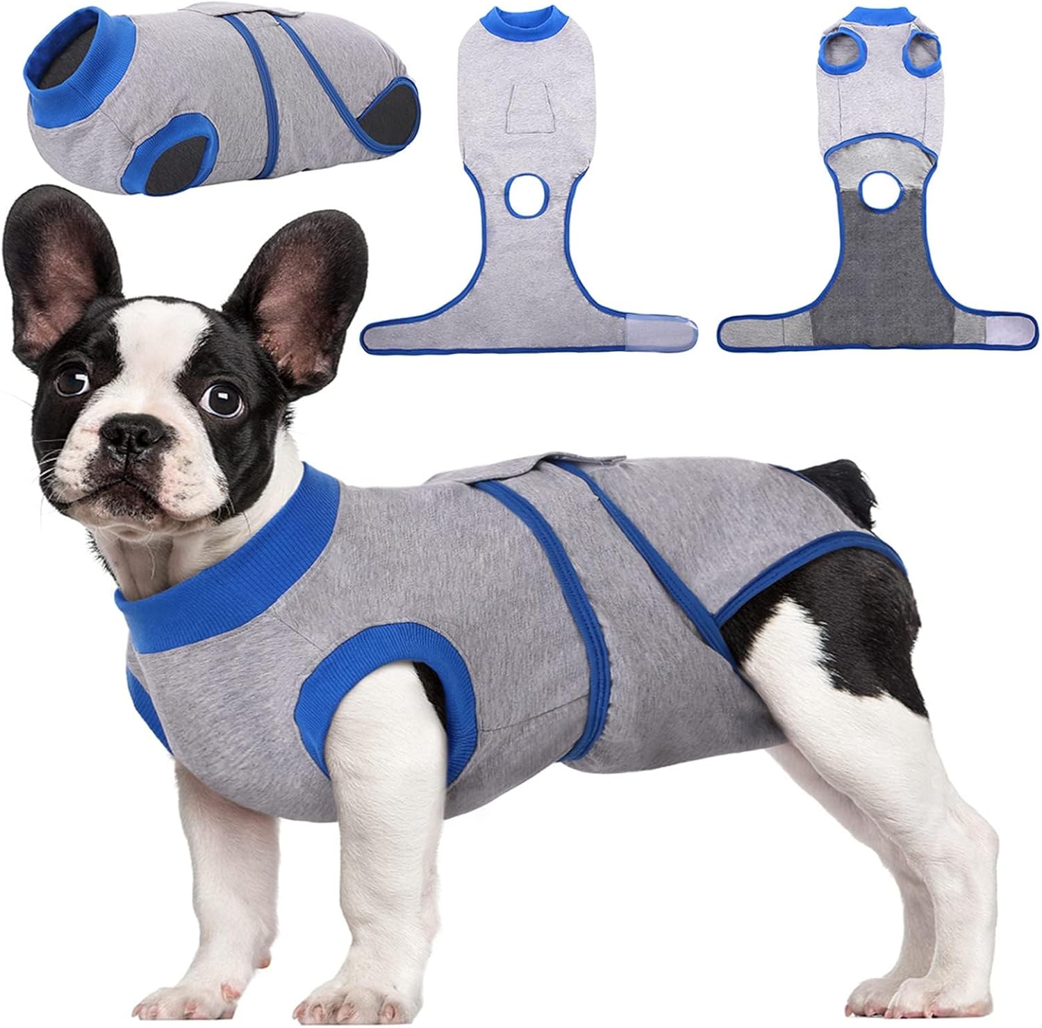 Quick Recovery Suit for Pets – Healing After Surgery