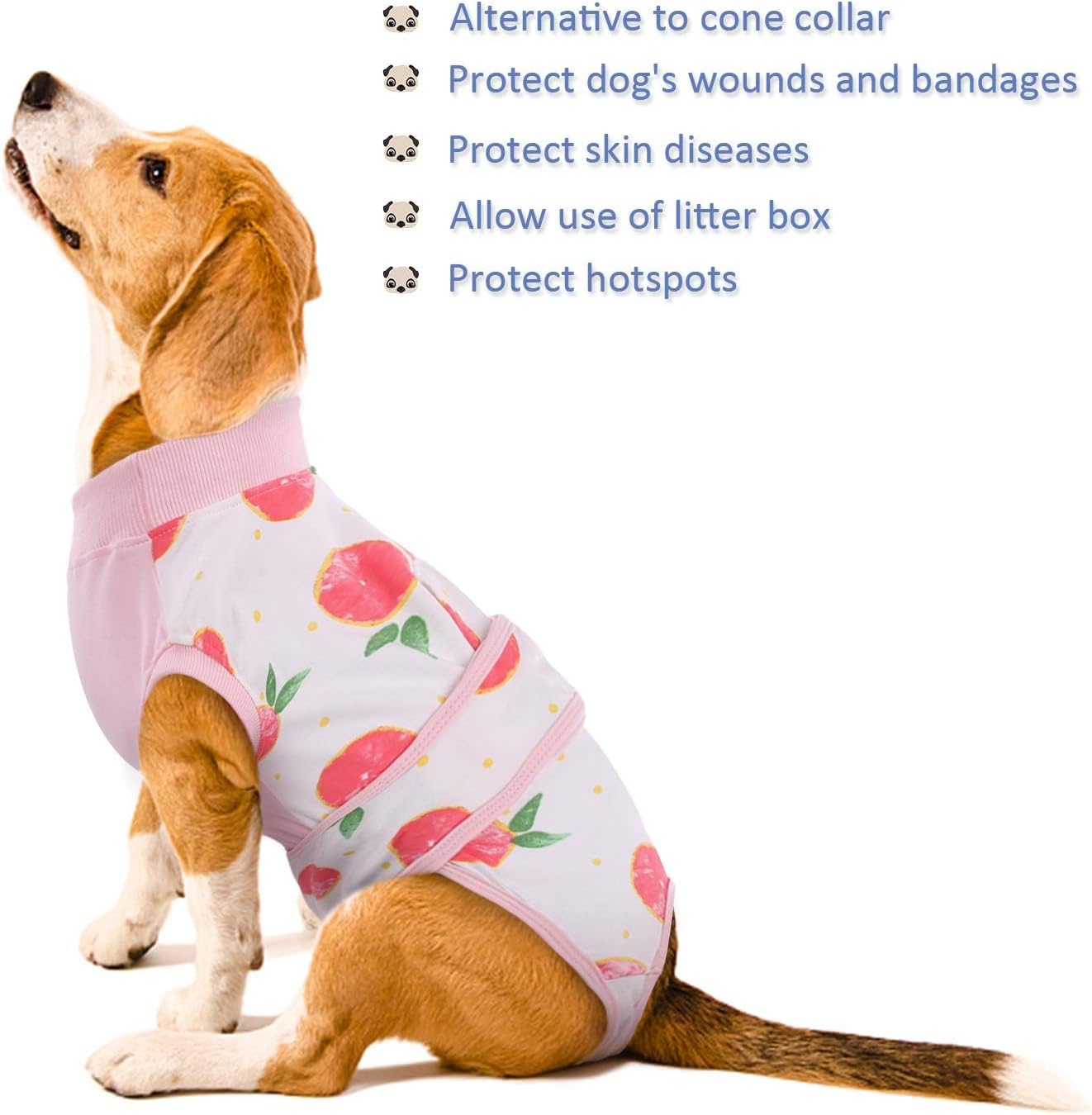 Quick Recovery Suit for Pets – Healing After Surgery
