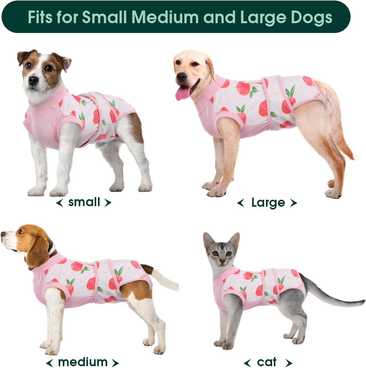 Quick Recovery Suit for Pets – Healing After Surgery
