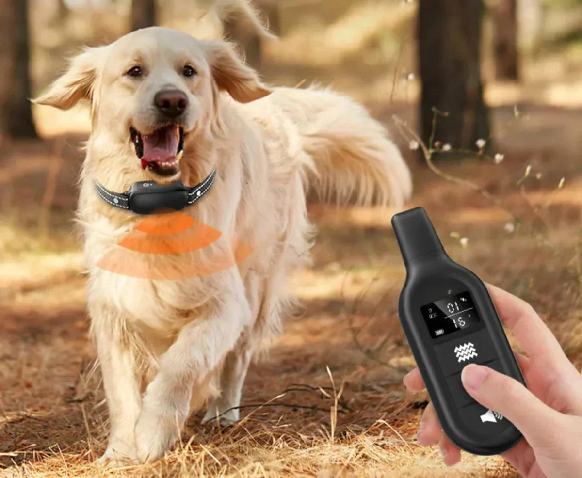 Remote Dog Training Collar – Waterproof E-Collar with 16 Shock, Vibration, and Range Levels up to 1000 m