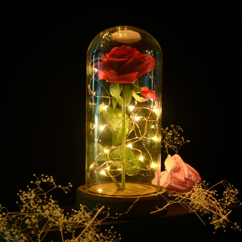 Rose éternelle - Rose immortelle