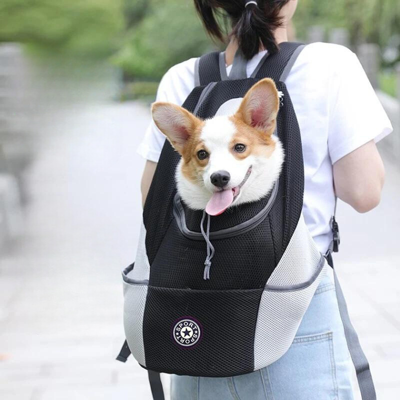 Sac à dos confortable pour transporter son animal de compagnie en extérieur