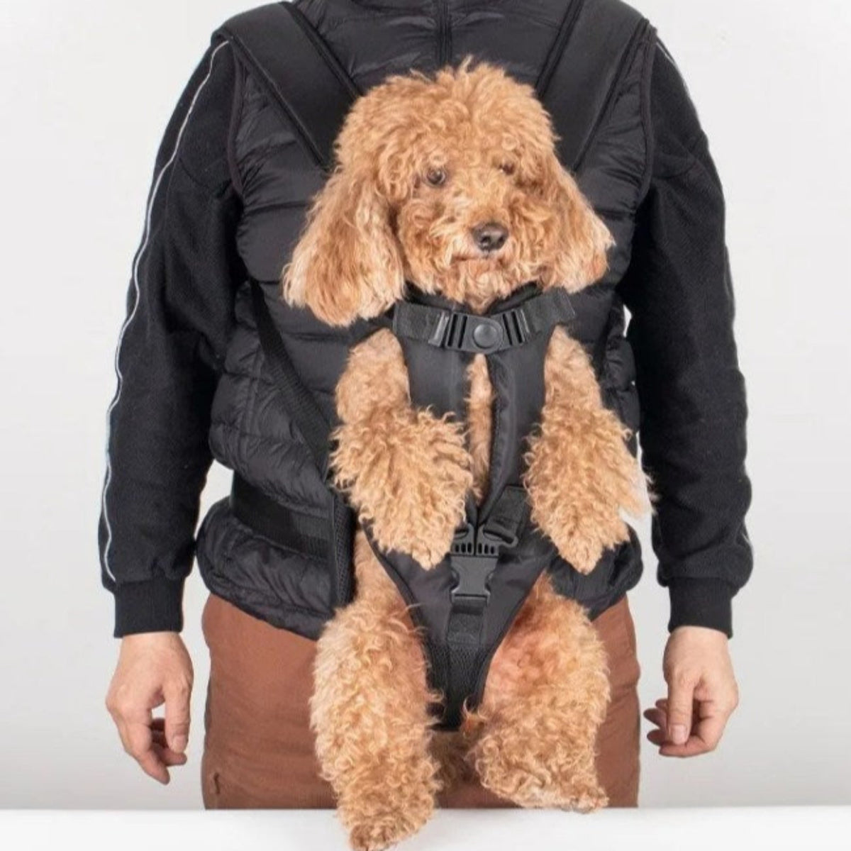 Sac à dos de portage frontal pour chien de randonnée