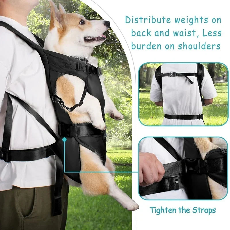 Sac à dos porte-chien ventral pour aventures en plein air