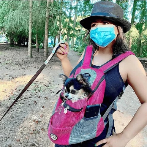 Sac à dos pour chien confortable et respirant pour petits et moyens chiens