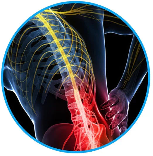 Sciatica Pain Relief Belt - eliminate your sciatica & lower back pain