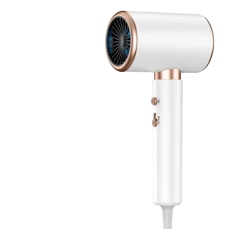 Sèche-cheveux professionnel 2400W avec technologie ionique