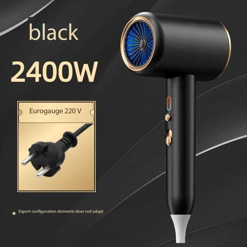 Sèche-cheveux professionnel 2400W avec technologie ionique