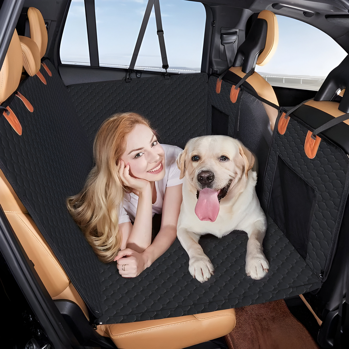 Siège auto extensible pour chien – confortable et sécurisé pour vos trajets