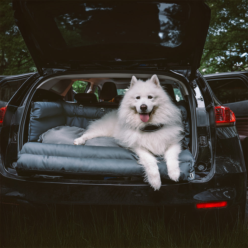 Siège auto pour chien deluxe en simili-cuir