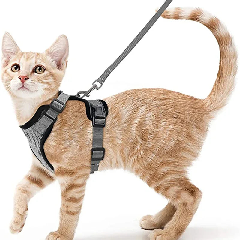 Soft and Safe Harnesses for Walking with Your Cat