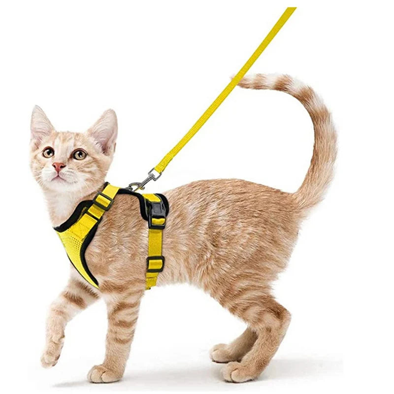 Soft and Safe Harnesses for Walking with Your Cat