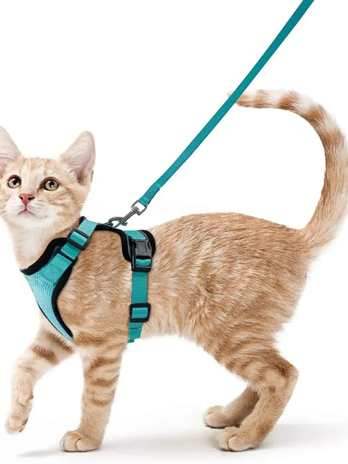 Soft and Safe Harnesses for Walking with Your Cat