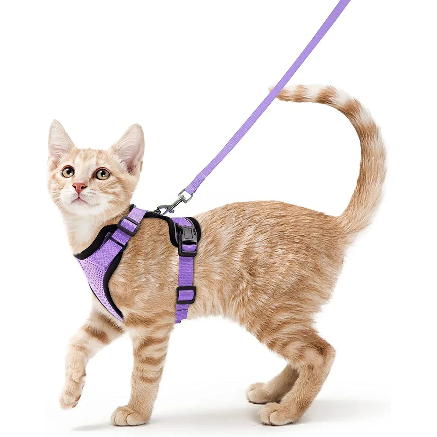 Soft and Safe Harnesses for Walking with Your Cat