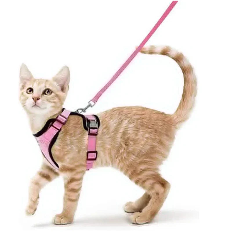 Soft and Safe Harnesses for Walking with Your Cat