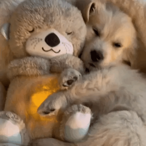 Soothing Plush Toy