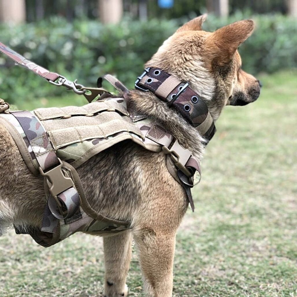 Tactical Safety Harness for Dogs