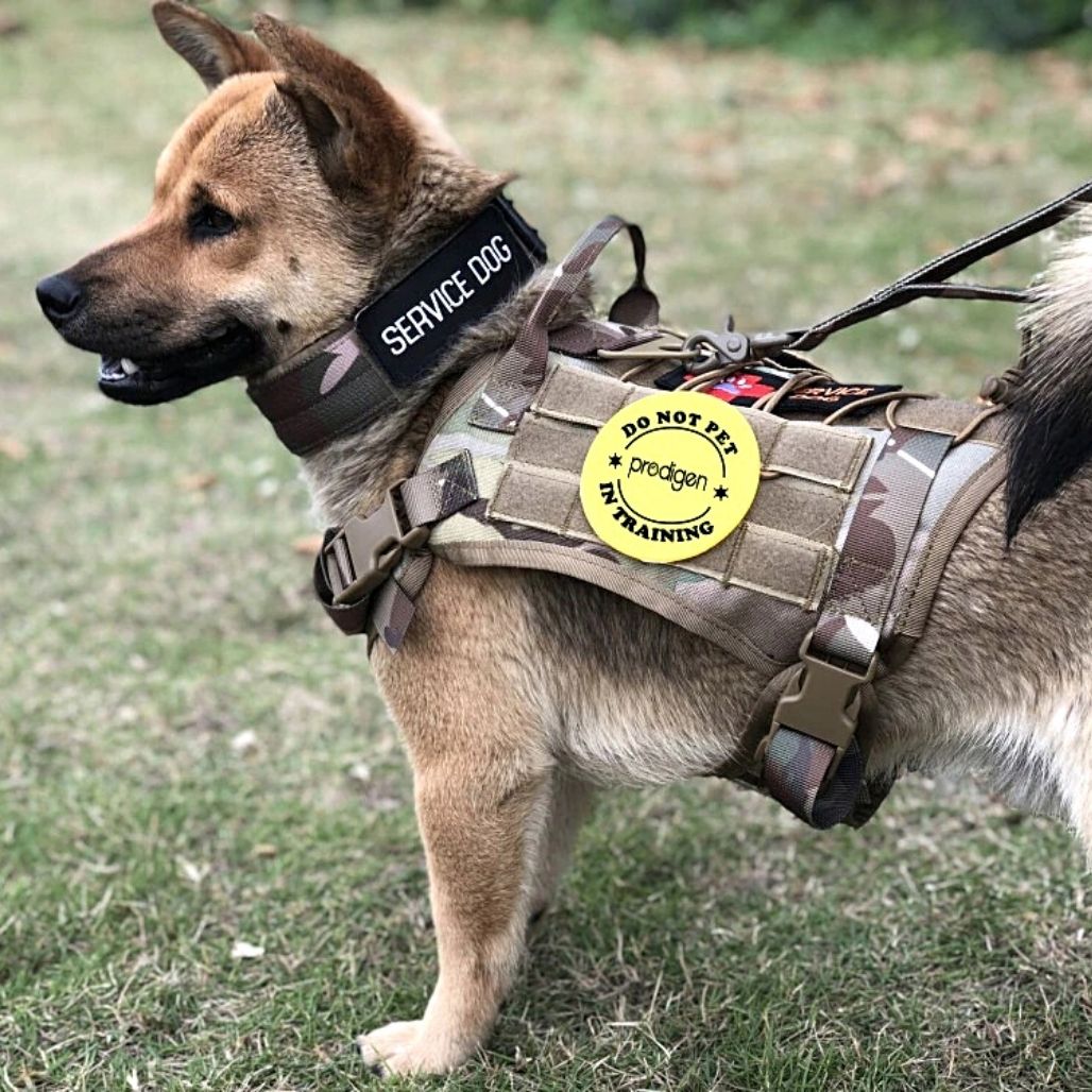 Tactical Safety Harness for Dogs