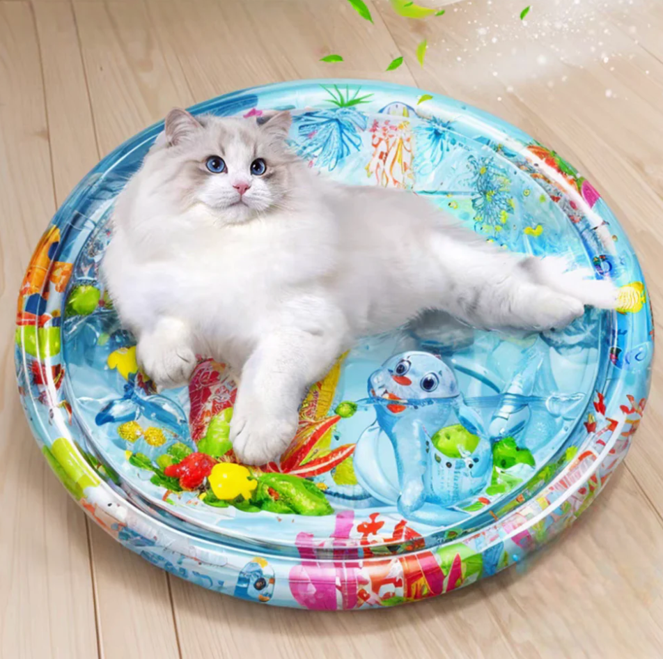 Tapis de jeu durable pour chat avec plaisir de jeu sans fin