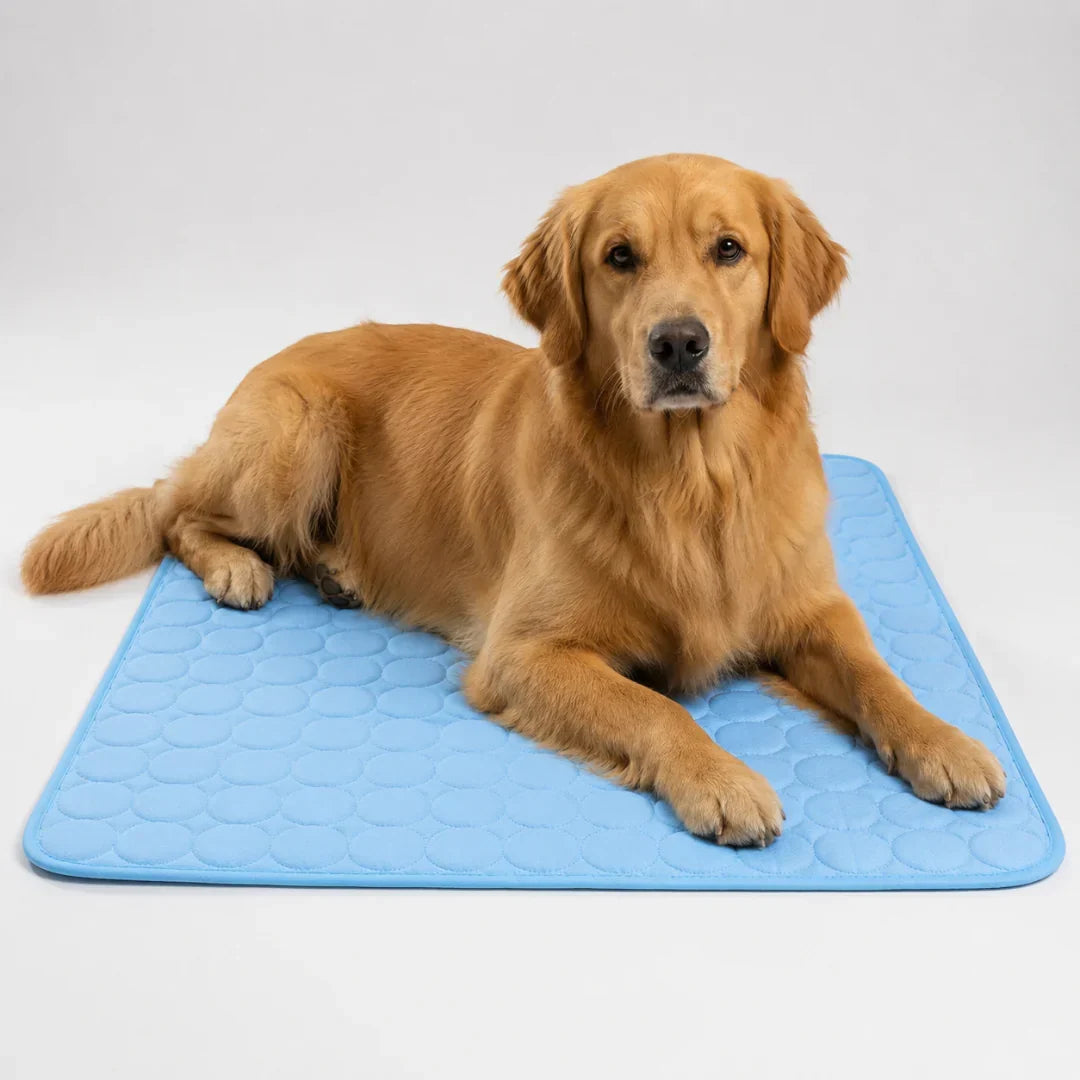 Tapis rafraîchissant lavable pour animaux de compagnie