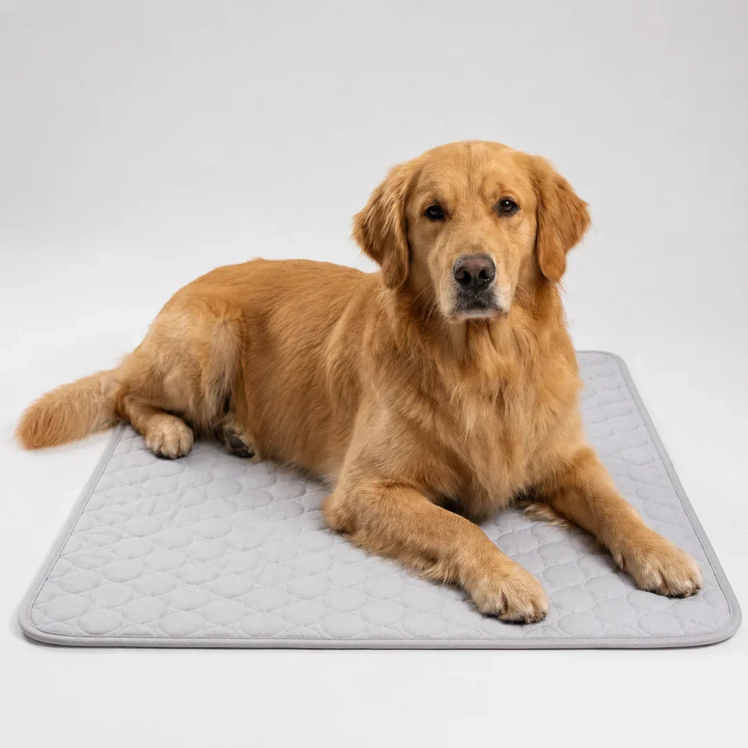 Tapis rafraîchissant lavable pour animaux de compagnie