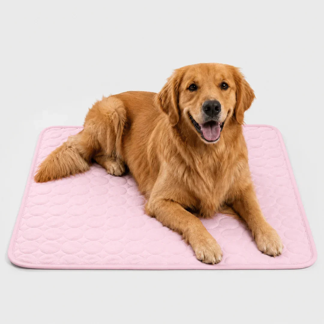 Tapis rafraîchissant lavable pour animaux de compagnie
