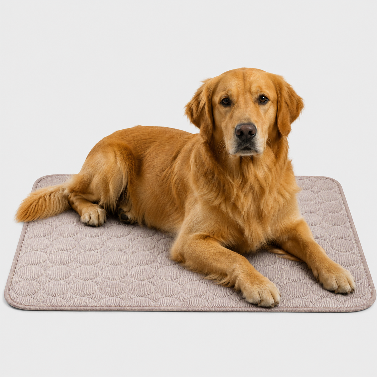 Tapis rafraîchissant lavable pour animaux de compagnie